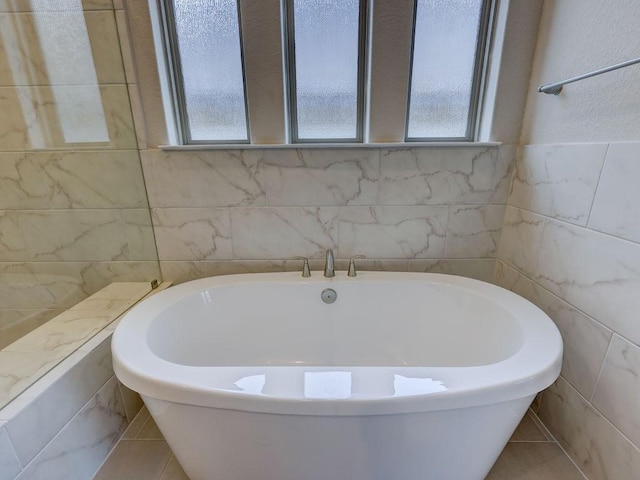 19516 Tranquility Falls Path, Lago Vista, TX 78645 - full bathroom featuring healthy amount of natural light, a freestanding tub, tile walls, and tile patterned flooring