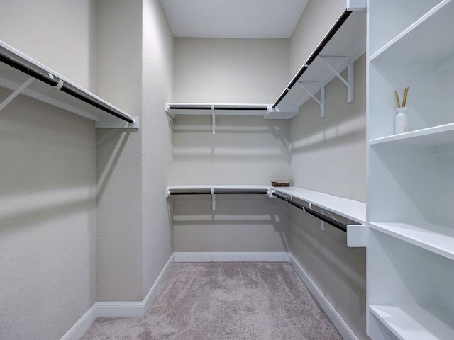 spacious closet with light carpet