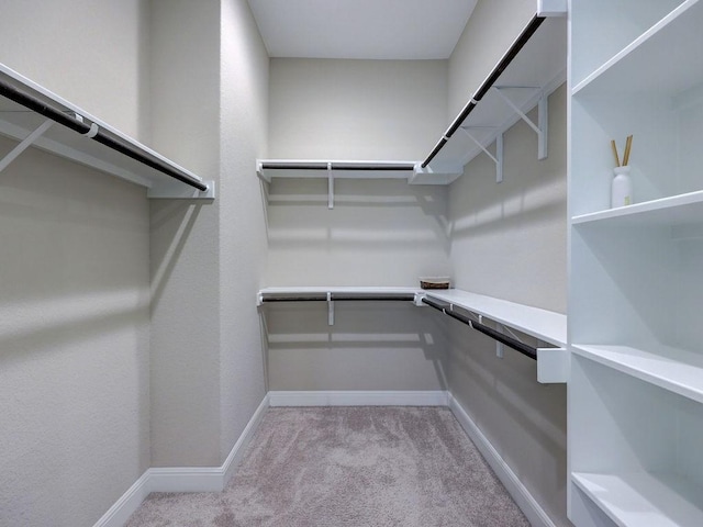 19516 Tranquility Falls Path, Lago Vista, TX 78645 - spacious closet with light carpet
