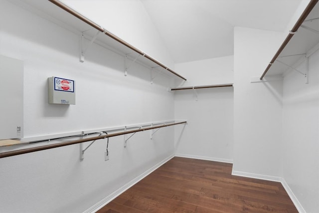 spacious closet featuring dark wood-type flooring