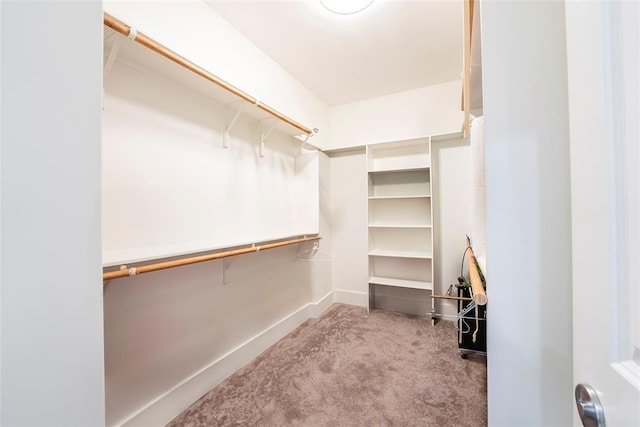 spacious closet with light colored carpet