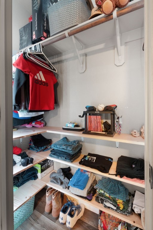 spacious closet featuring hardwood / wood-style flooring