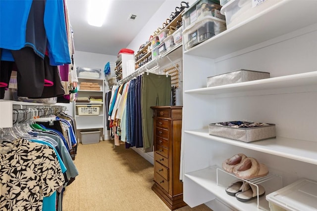 view of walk in closet