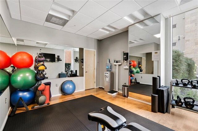 exercise room with wood-type flooring and a paneled ceiling