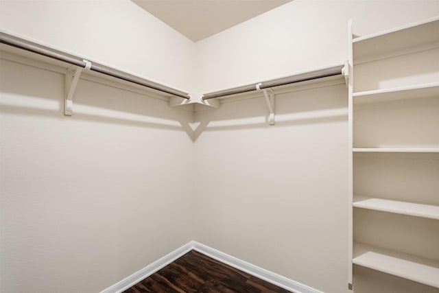 spacious closet with wood-type flooring