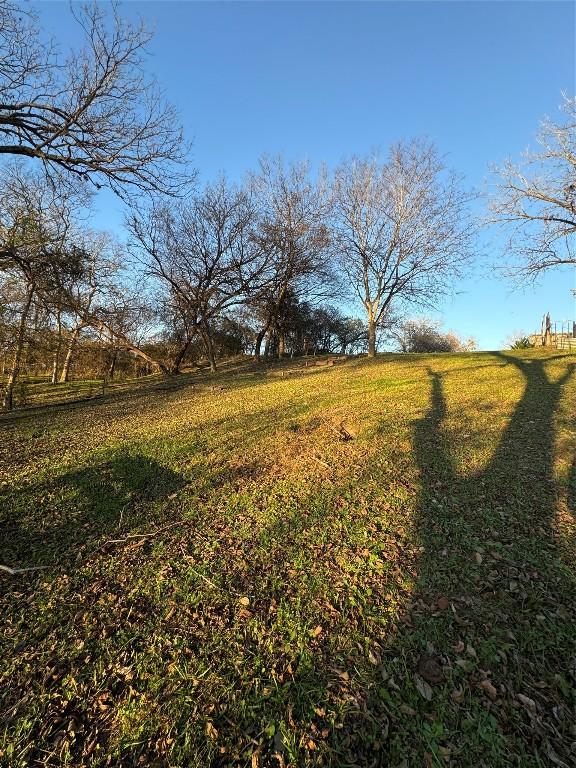 282 Spring River Dr, Martindale, TX 78655 - view of green lawn