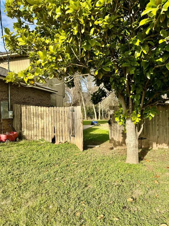 282 Spring River Dr, Martindale, TX 78655 - view of yard