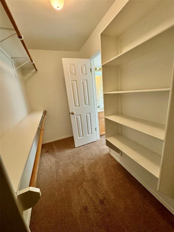 282 Spring River Dr, Martindale, TX 78655 - walk in closet with carpet floors
