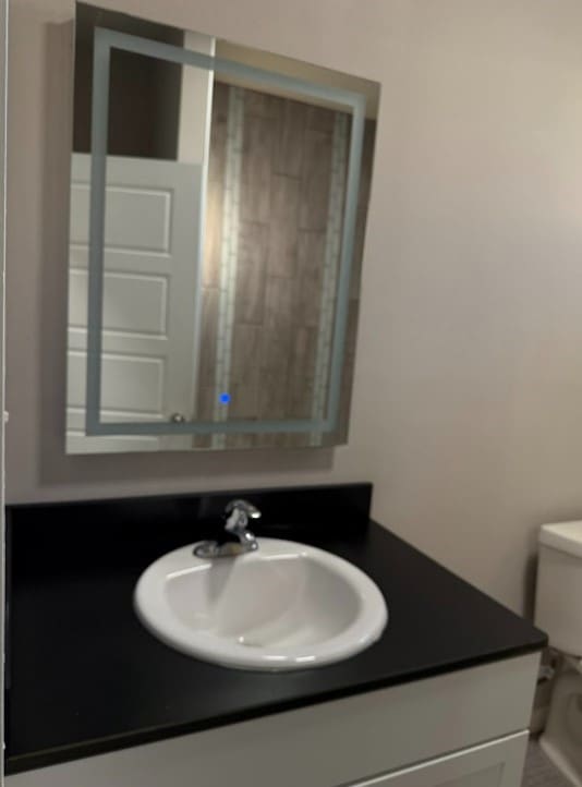 bathroom with vanity and toilet