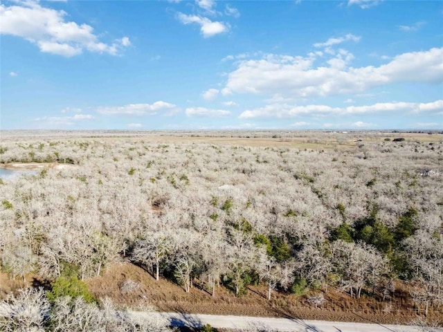 view of landscape featuring a rural view