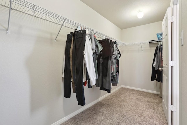 spacious closet with light colored carpet