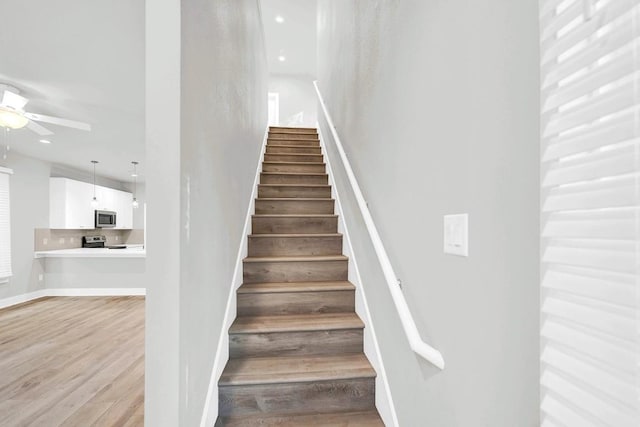 stairway featuring wood-type flooring and ceiling fan