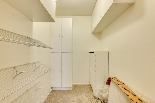 spacious closet with light colored carpet