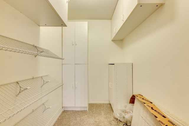 910 Duncan Ln Unit 50, Austin, TX 78705 - walk in closet with light colored carpet