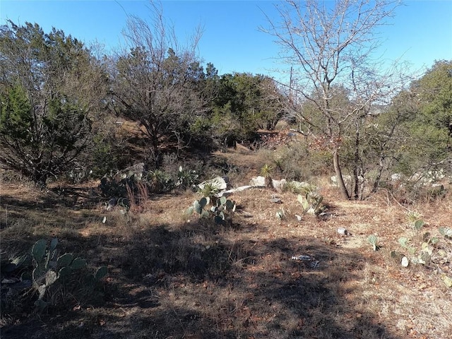 Listing photo 3 for TBD W Greencastle Dr, Granite Shoals TX 78654