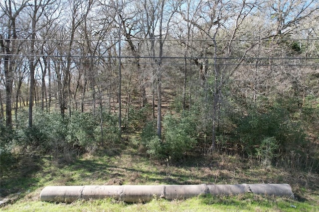 510 Tahitian Dr, Bastrop TX, 78602 land for sale