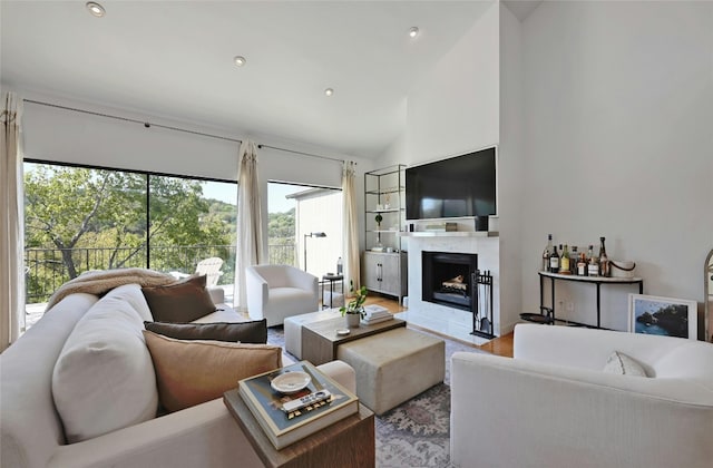 living room featuring wood-type flooring and lofted ceiling