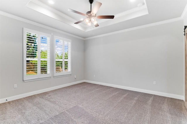 20104 Byrd Ave, Lago Vista, TX 78645 - spare room with a tray ceiling, a ceiling fan, carpet floors, and crown molding