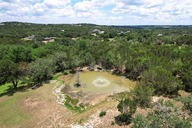 13555 Nutty Brown Rd, Austin, TX 78737 - photo 28