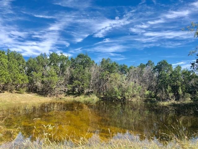 view of local wilderness