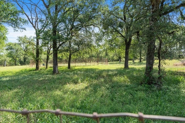371 Youngs Prairie Rd, Elgin, TX 78621 - view of yard