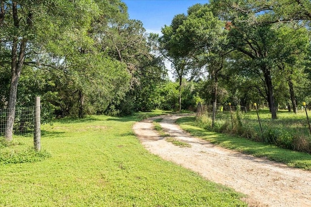 371 Youngs Prairie Rd, Elgin, TX 78621 - view of dirt / gravel road