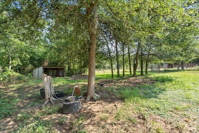 371 Youngs Prairie Rd, Elgin, TX 78621 - view of yard featuring an outdoor structure