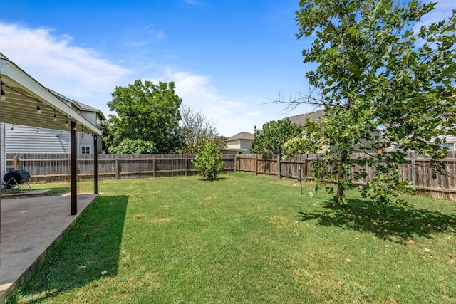 view of yard with a patio