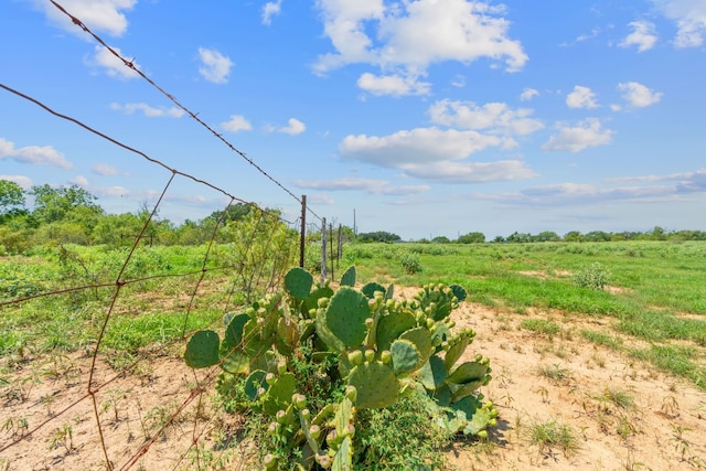 Listing photo 2 for LOT8 County Road 280, Harwood TX 78629