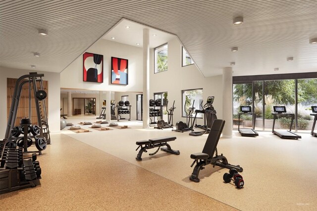 workout area featuring a towering ceiling