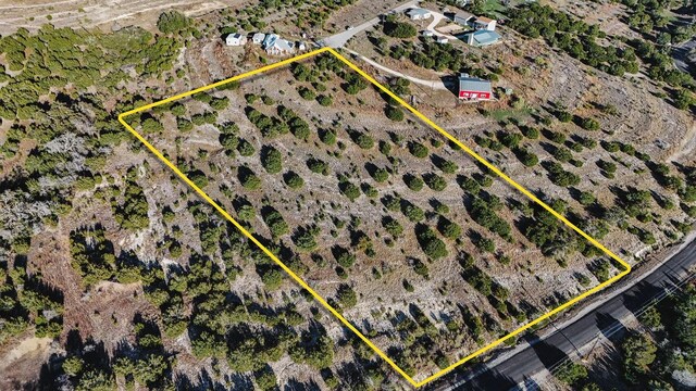 251 Cotton Rd, Dripping Springs, TX 78620 - photo 4