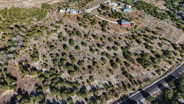 251 Cotton Rd, Dripping Springs, TX 78620 - photo 7