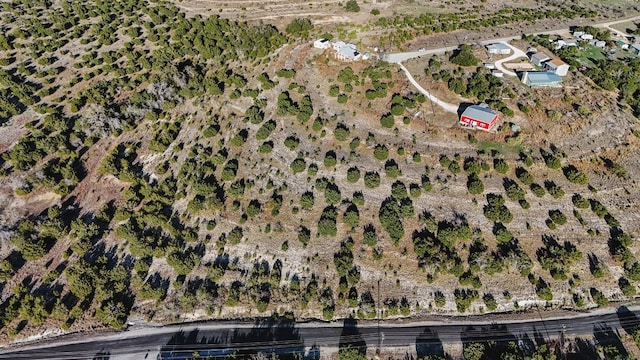 251 Cotton Rd, Dripping Springs, TX 78620 - photo 8