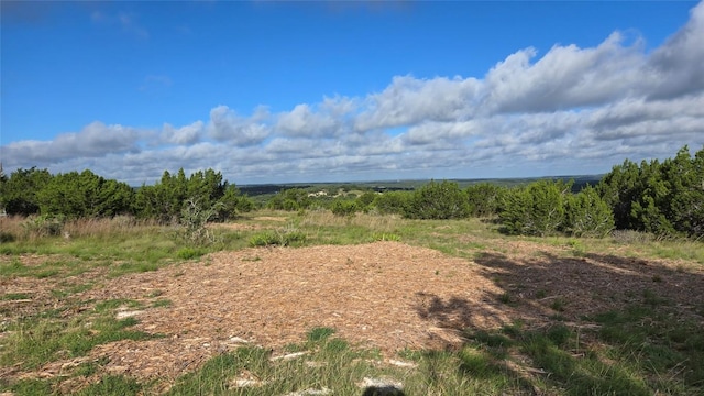 251 Cotton Rd, Dripping Springs, TX 78620 - photo 1