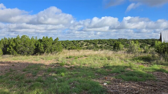 251 Cotton Rd, Dripping Springs, TX 78620 - photo 2