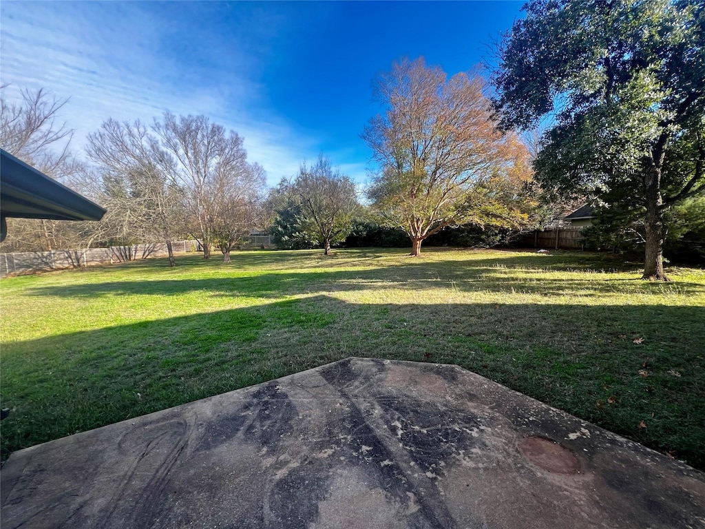 view of yard featuring a patio