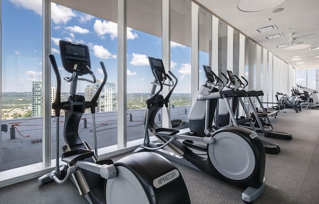 gym featuring plenty of natural light and floor to ceiling windows