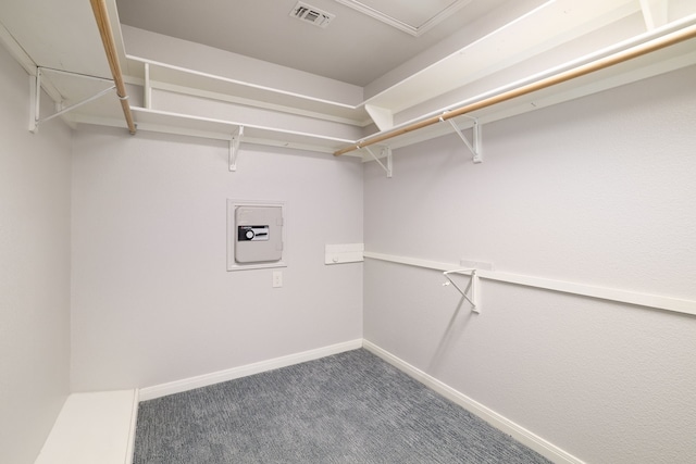 spacious closet with dark colored carpet