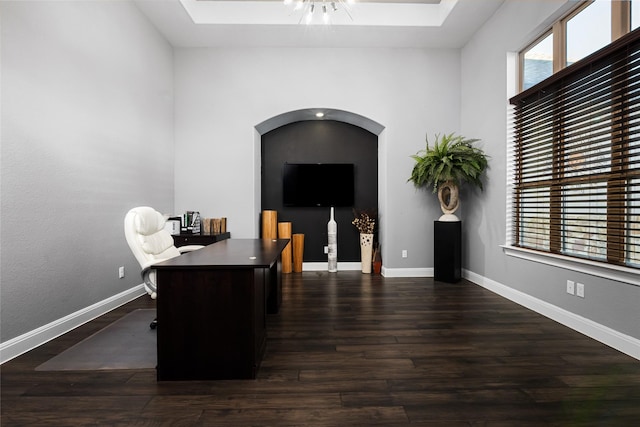 office featuring dark hardwood / wood-style floors and plenty of natural light