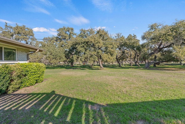 view of yard