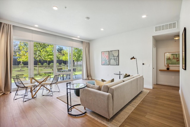 living room featuring light hardwood / wood-style flooring