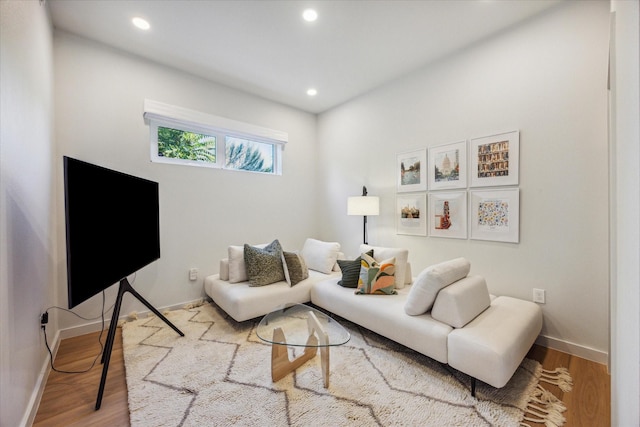 living room featuring wood-type flooring