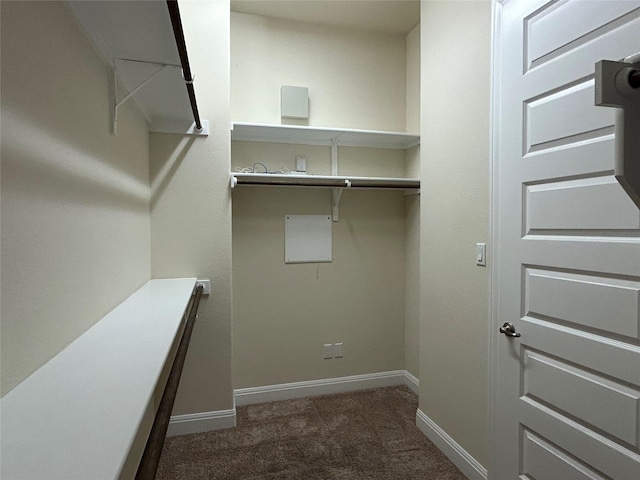 spacious closet featuring dark colored carpet