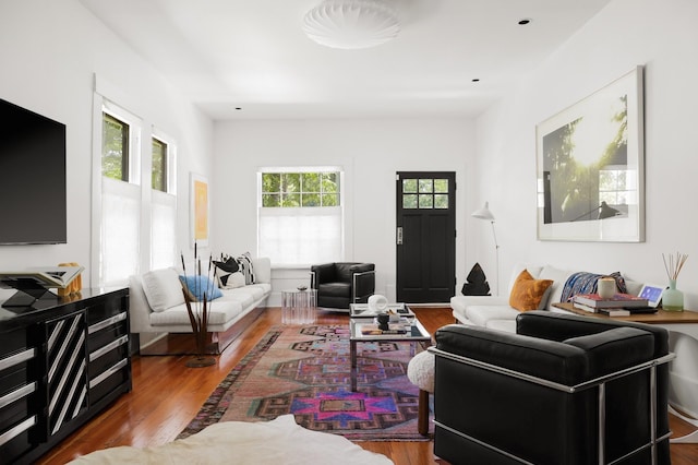 living room with hardwood / wood-style flooring