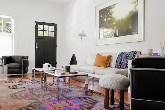 living room featuring hardwood / wood-style flooring