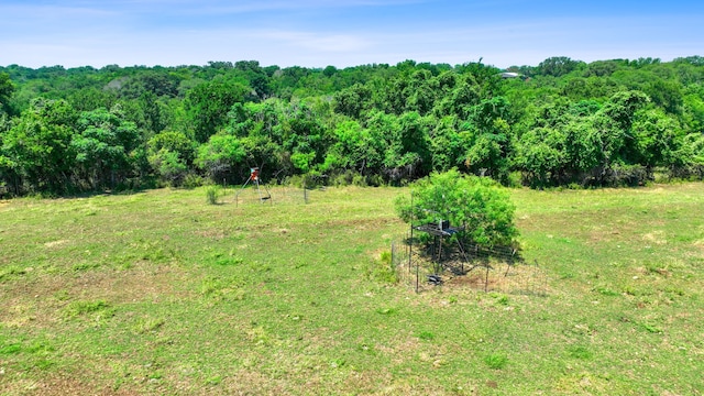 view of local wilderness with a forest view