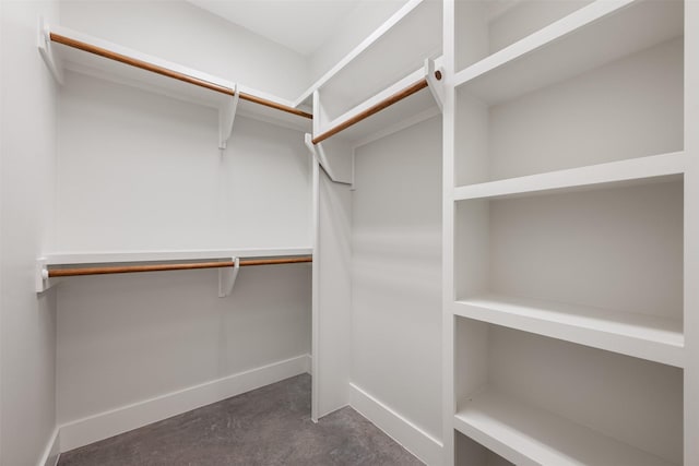 view of walk in closet