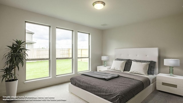 102 Iva Ln, Georgetown, TX 78628 - carpeted bedroom featuring multiple windows