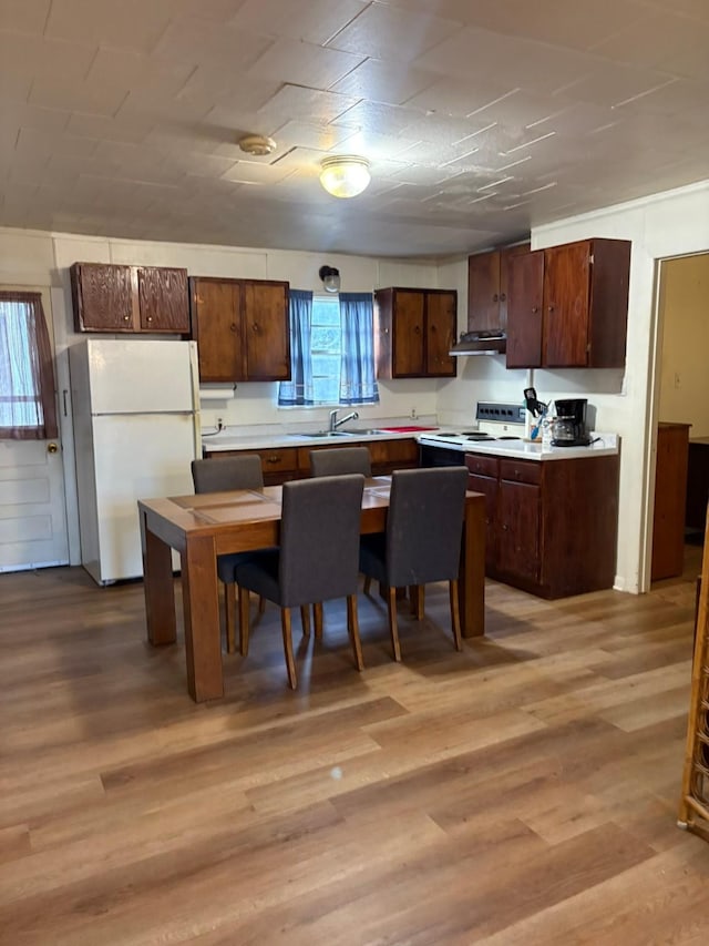 kitchen featuring dark brown cabinets, light hardwood / wood-style flooring, white appliances, and sink