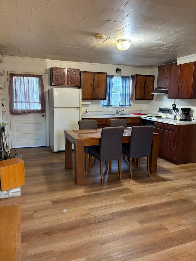 kitchen featuring a healthy amount of sunlight, light wood-type flooring, white appliances, and sink